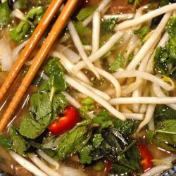 Pho Bo - Beef Noodle Soup