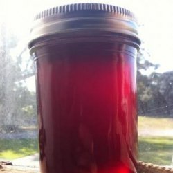 Tuna ( Prickly Pear Cactus Fruit ) Jelly