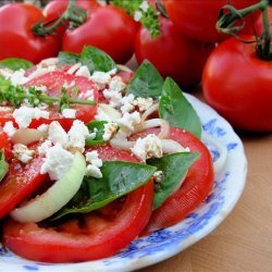 Vine Ripened Tomato, Sweet Onion and Basil Salad