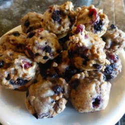 Low Fat Blueberry Cranberry Bran Muffins