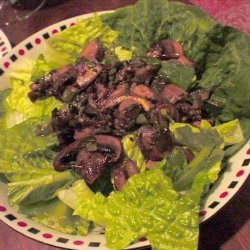 Warm Mushroom Salad