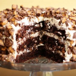 Peanut Butter and Chocolate Cake I