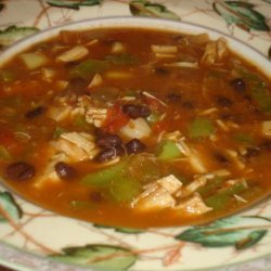 Savory Southwestern Soup-South Beach Friendly!