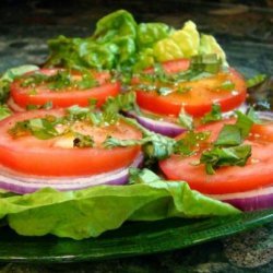 Tomato and Red Onion Salad