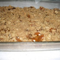 Raisin Apricot Bars