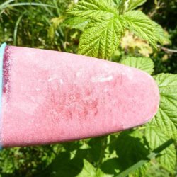 Raspberry-Lime Coconut Freezer Pops