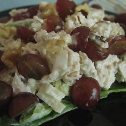 Chicken and Tarragon Salad