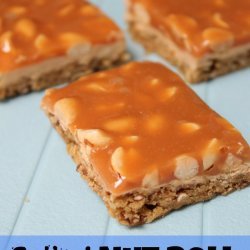 Salted Nut Bars