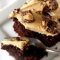 Chocolate Peanut Butter Cup Sheet Cake