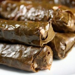 Dolmathakia Stuffed Grape Leaves