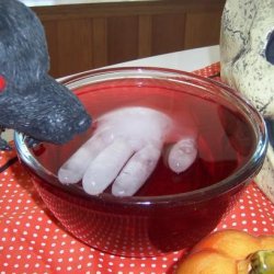 Dragon's Blood Punch and Hand Ice Mold