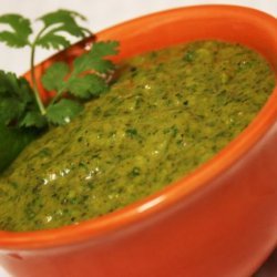 Roasted Poblano Cilantro Sauce