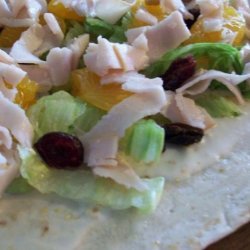 Fruited Turkey Wraps