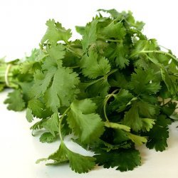 Creamy Cilantro Dressing