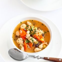 Chicken and Salsa Soup