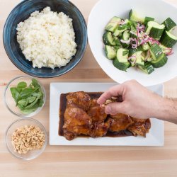 Marinated Hoisin Chicken