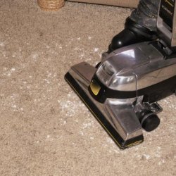 All-Natural Carpet Deodorizer