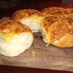 Cheesy Bread Rolls