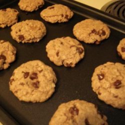 Vegan Chocolate Carob Farina Nut Cookies