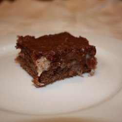 Chocolate Coconut Squares