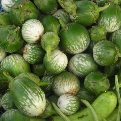 Thai Basil Eggplant