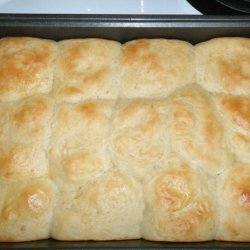 Dinner Rolls- Bread Machine