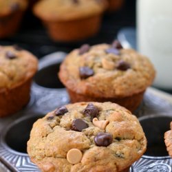 Banana Chocolate Chip Muffins