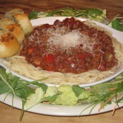 Italian Spaghetti Sauce