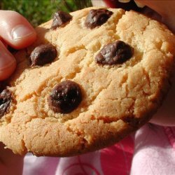 Nicky's Choc Chip Cookies