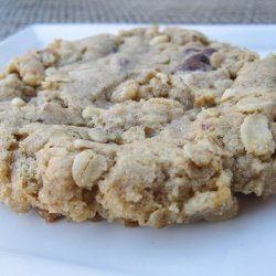 Oatmeal chocolate chip cookies