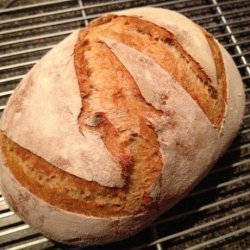 Harry's Whole Grain No Knead Dutch Oven Bread