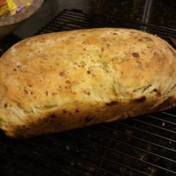 Golden Cheese Yeast Bread