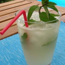 Mojito De Mentha