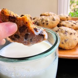 Passover Chocolate Chip Cookies