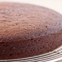 The Easiest Chocolate Cake