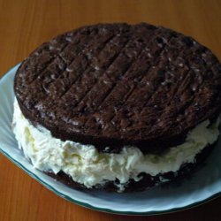 Giant Ice Cream Sandwich