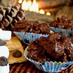 Easy S'more Clusters - Indoor S'mores