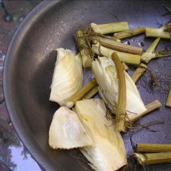 Braised Fennel