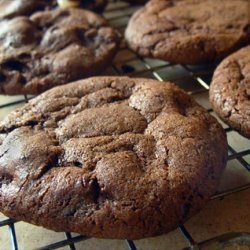 Chocolate Chocolate Chip Cookies