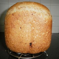 Walnut Beer Bread (Abm)