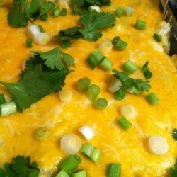 Cream Cheese Green Chicken Enchilada's