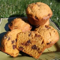 Pumpkin Chocolate Chip Muffins