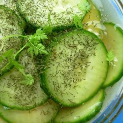 Novak Family Cucumber Salad