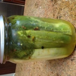 Claussen-Like Refrigerator Pickles