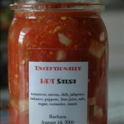 Barbara's Hot Salsa