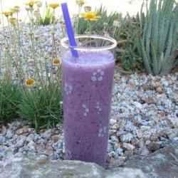 Healthy Blueberry Milkshake