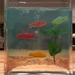 JELL-O(R) Aquarium