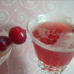 Sparkling Cranberry Punch