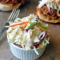 COLESLAW (((THE BEST EVER)))