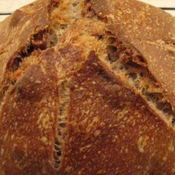 Sourdough (Wild Yeast)  Bread